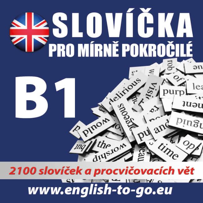 Angličtina - slovíčka pro pokročilé