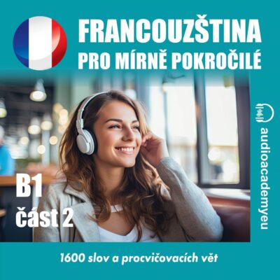 Pack - Francouzština megaslovíčka - Image 2