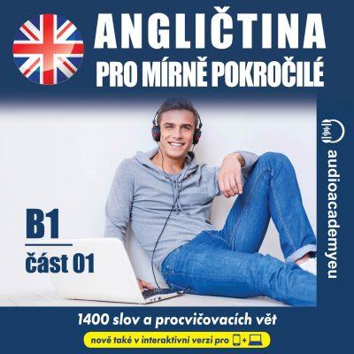 Angličtina – slovní zásoba B1 - část 1
